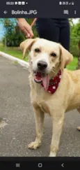 Bolinha