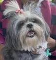 Malu