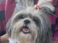 Malu