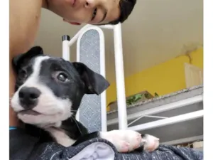 Cachorro raça SRD-ViraLata idade 2 a 6 meses nome Oreo 4meses porteP 