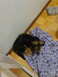 Lua