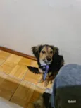 Lua