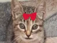 Tina