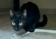 Nina