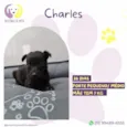 Charles