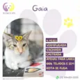 Gaia