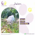 Julien