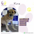 Kira