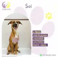 Sol