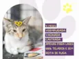 Gaia
