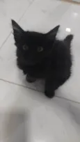 Ted