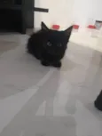 Ted