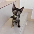Bonbon bb2meses Linda demais!