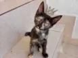 Bonbon bb2meses Linda demais!
