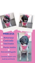 Princesa