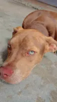 Nina