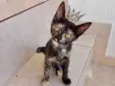 Bonbon 2meses gracinha demais !