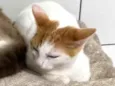 Molly