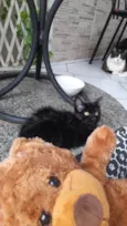 Ted