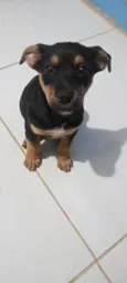 nao dei nome