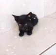 Cacao bb2meses lindo e um amor