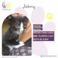 Johny