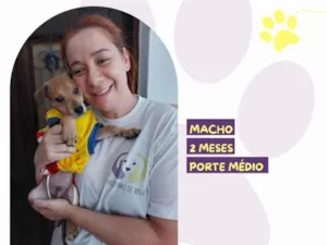 Cachorro raça SRD-ViraLata idade 2 a 6 meses nome Bento