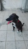 Kiara