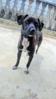 Kiara