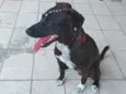 Kiara
