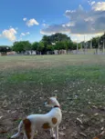 Zoe