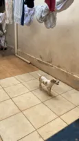 Zoe