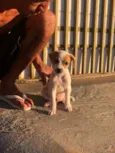 Zoe