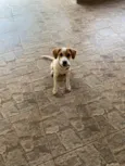Zoe