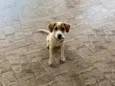Zoe