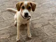 Zoe
