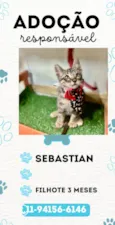 Sebastian