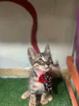 Sebastian