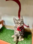 Sebastian