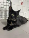 Chloe
