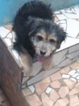 Mel