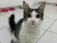 Samba