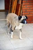 MATILDE 