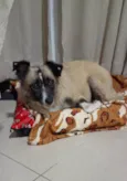 MATILDE 