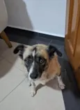 MATILDE 