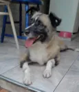 MATILDE 