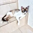 Amanda bb9meses linda e boazinha