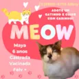 Maya Felv+