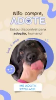 LUA