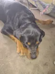 Meg e Zeus